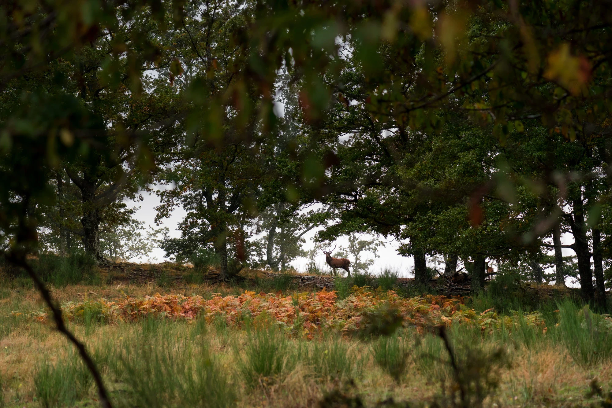 The Nature Reserve at Oasyhotel