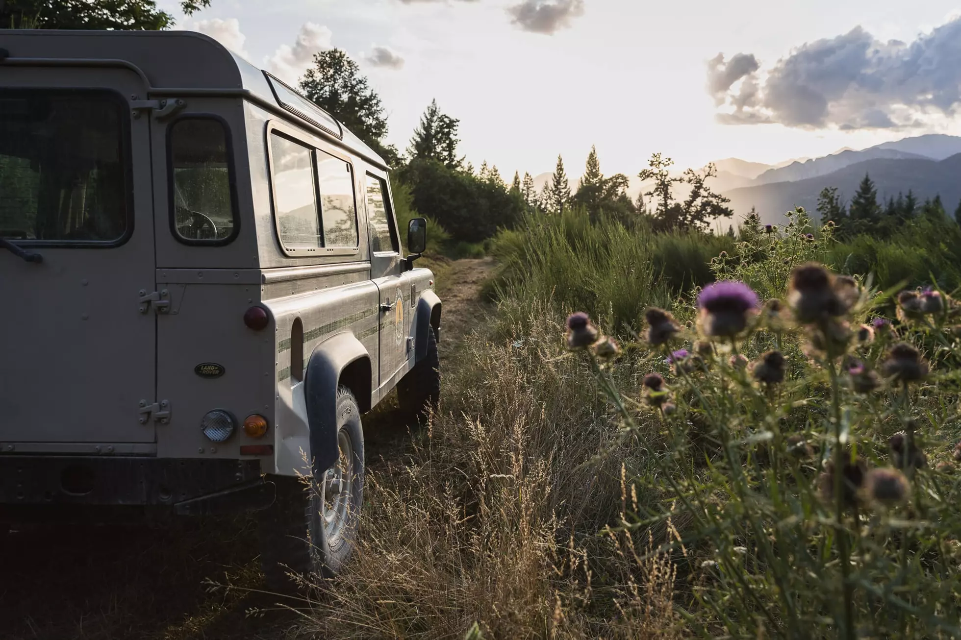 Suggerimenti e Informazioni