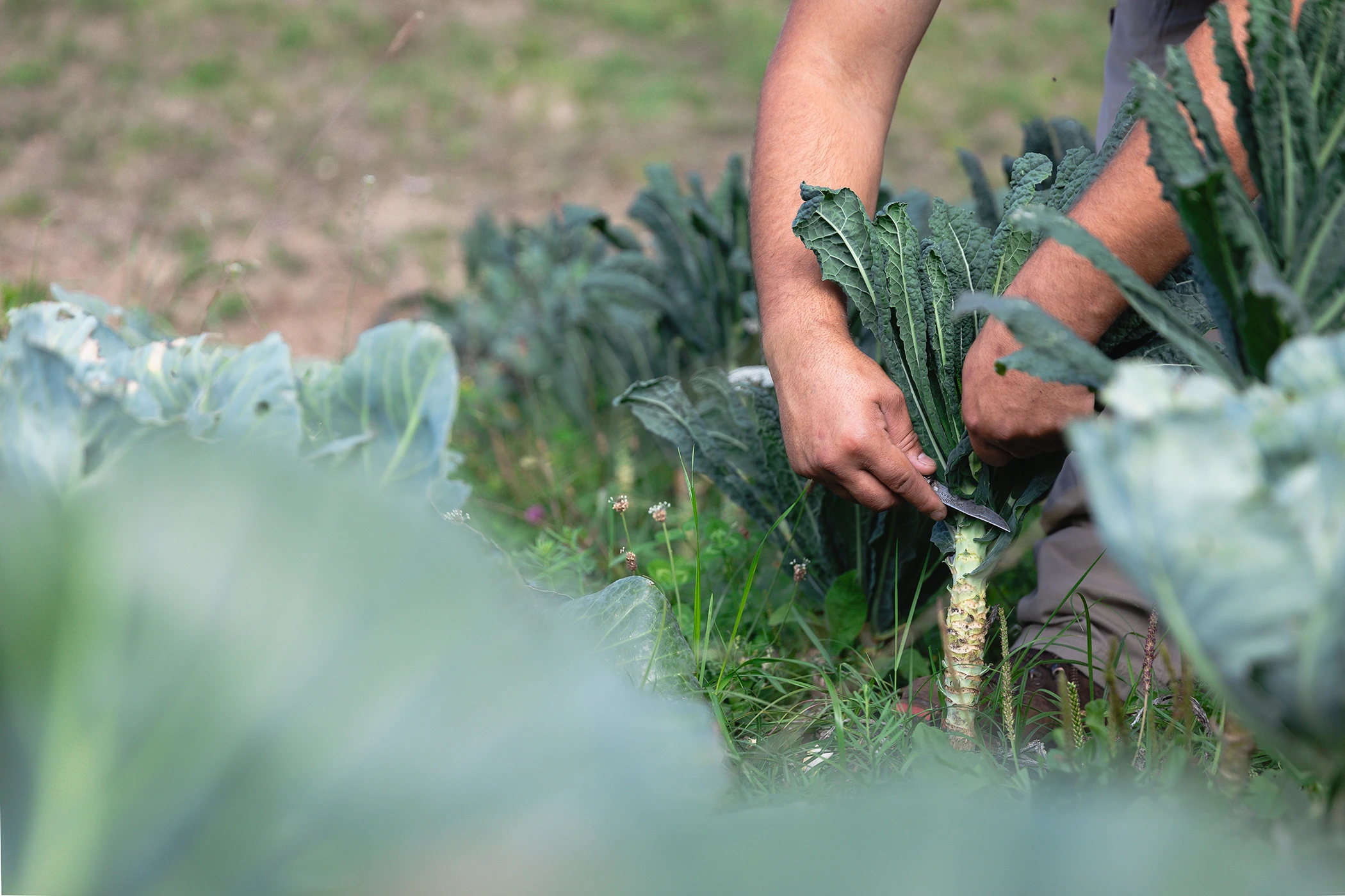 Sustainable Practices