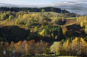 Conservazione della biodiversità