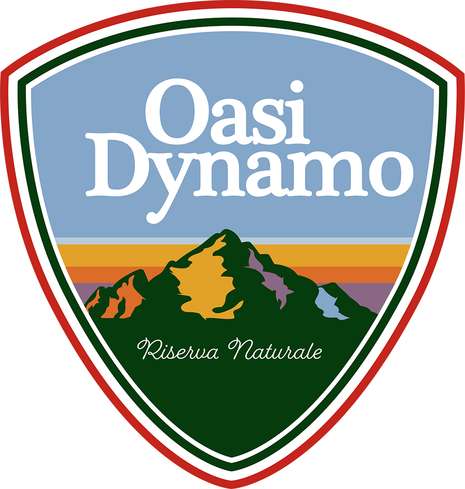 logo-dynamo